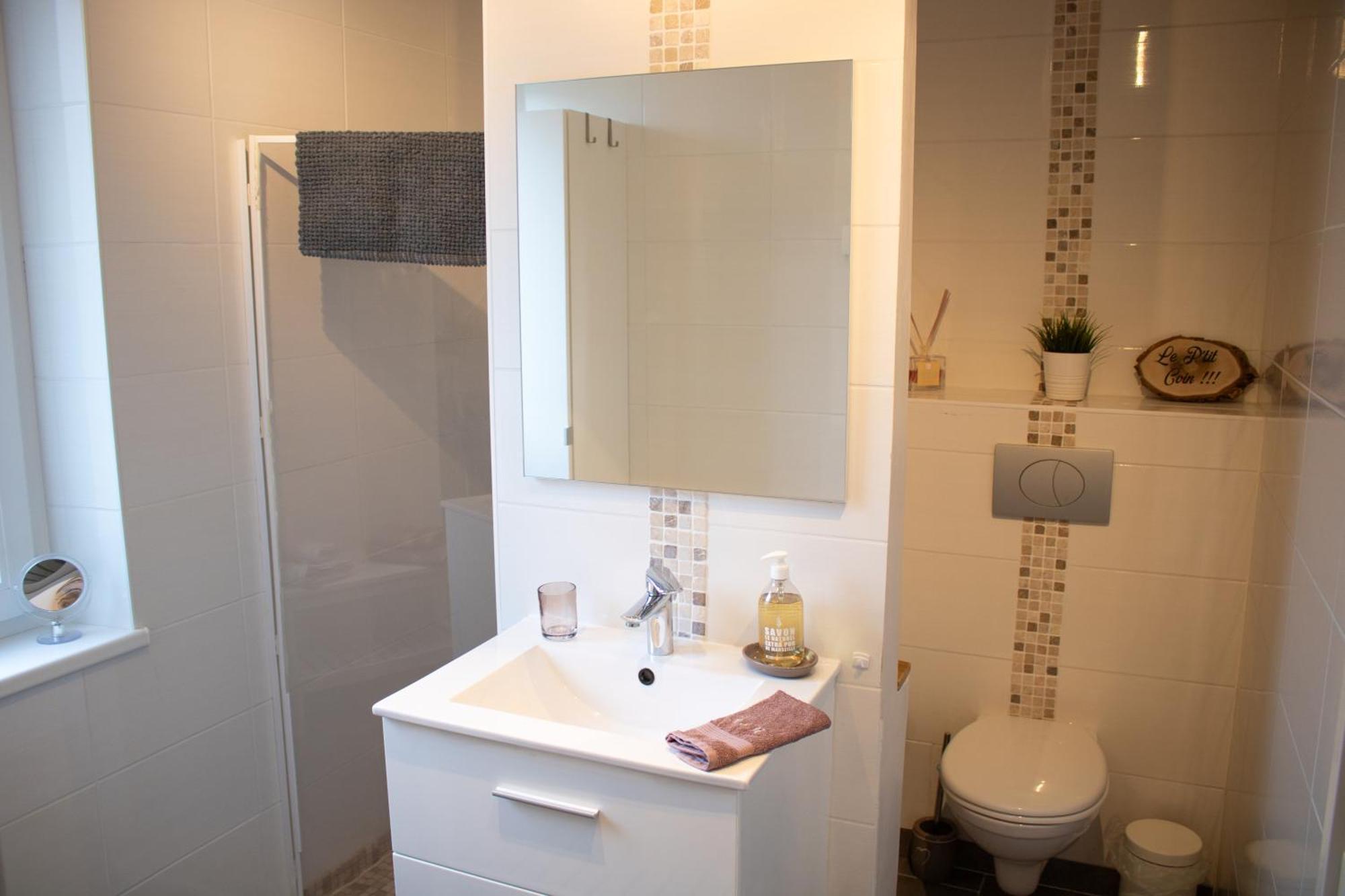 Chez Rozenn Et Mewen Apartment Romanswiller Luaran gambar